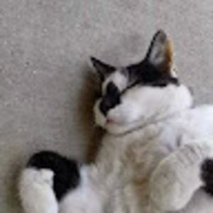 Meet your Posher, Aaron